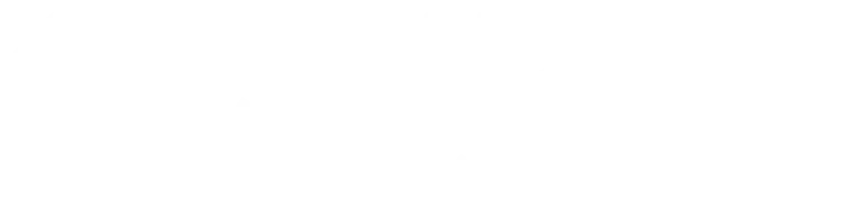 SNP logo conseils & accompagnements